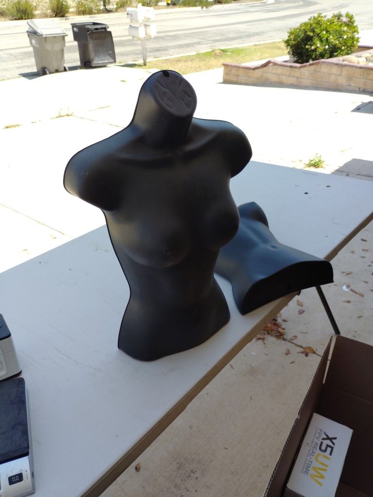 3 Pcs Female Upper Torso