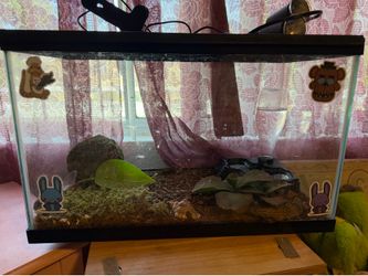 Leopard gecko w tank & lights