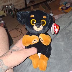 Beanie Bellies Randi The Wrotwieler 