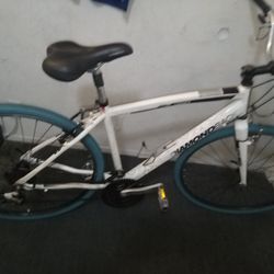 Diamondback Insight 