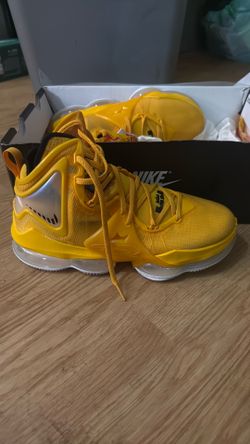 Brand new never worn Nike LeBron 19