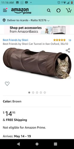 Best Friends by Sheri Cat Tunnel in Ilan Oxford, 36x10