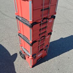 Mikwaukee Packout 