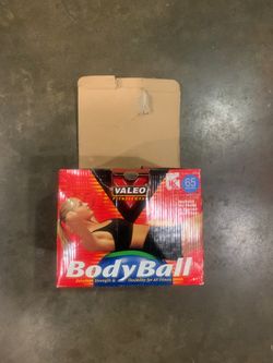Exercise body ball