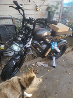 Movcan Dual Battery Electric Bicycle