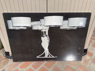 Lady Gaga “Volantis” Flying Dress Print “Collectible”