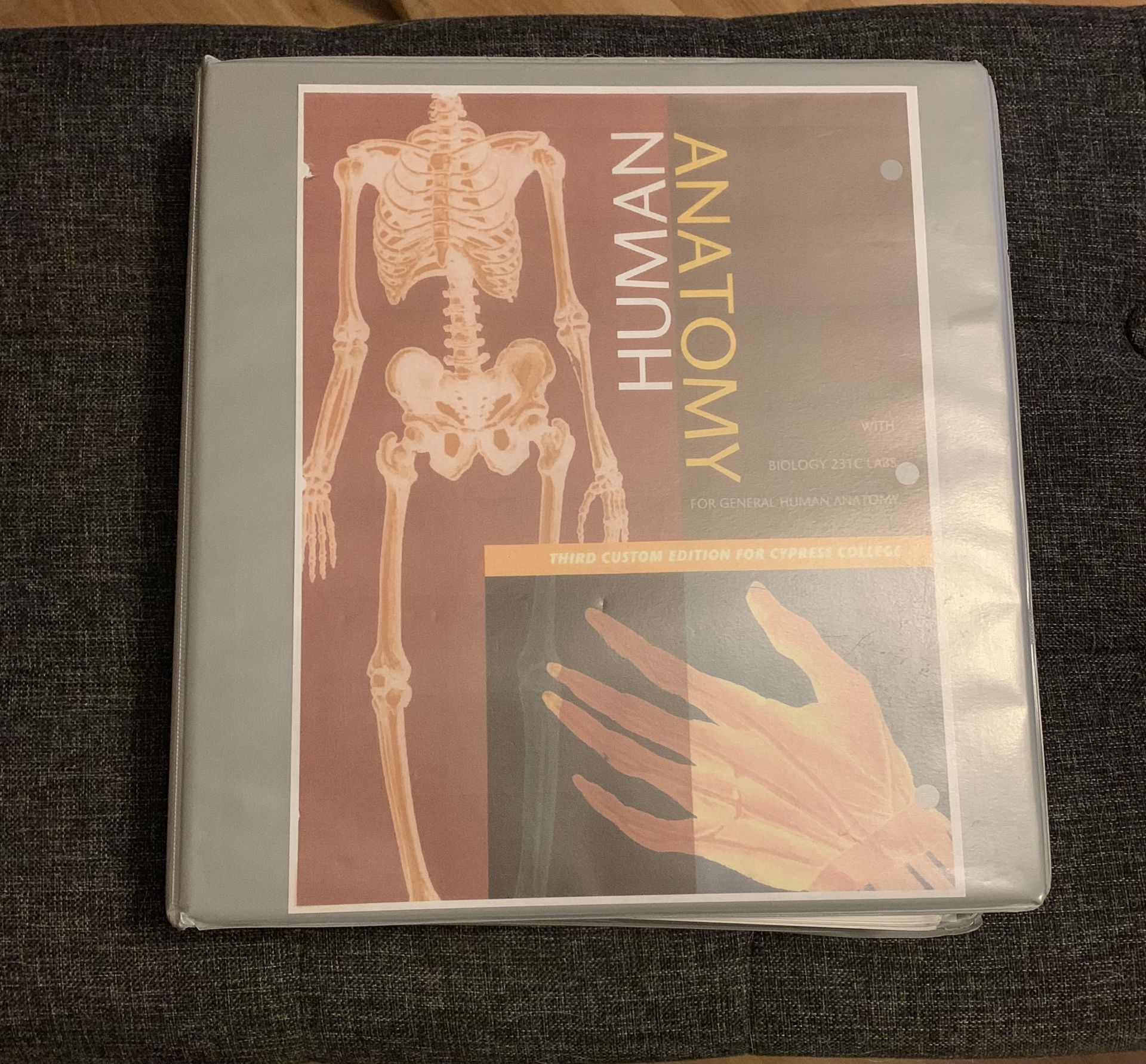Human Anatomy BIO 231 3rd Custom Edition For Cypress College