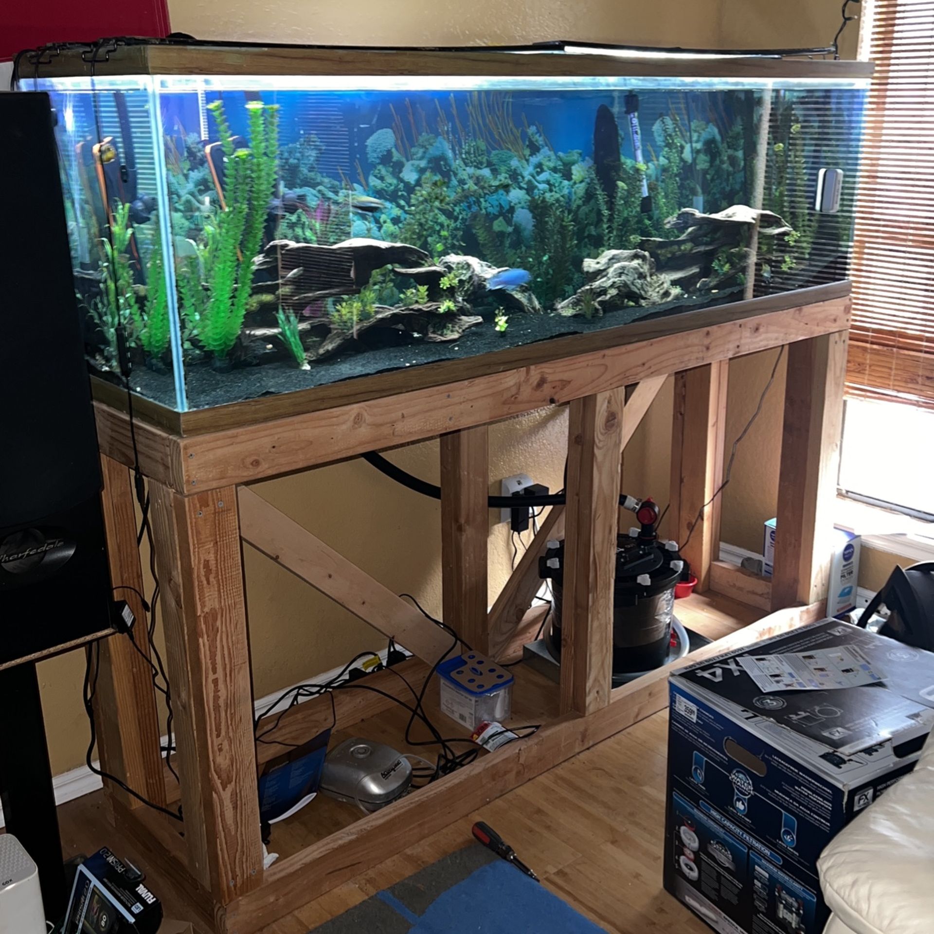 125 gal fish tank