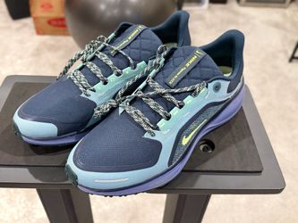 Nike Pegasus 41 GTX - Size 13 Men’s