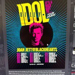 Billy Idol And Joan Jett 1 Ticket Amarant Arena Sunrise