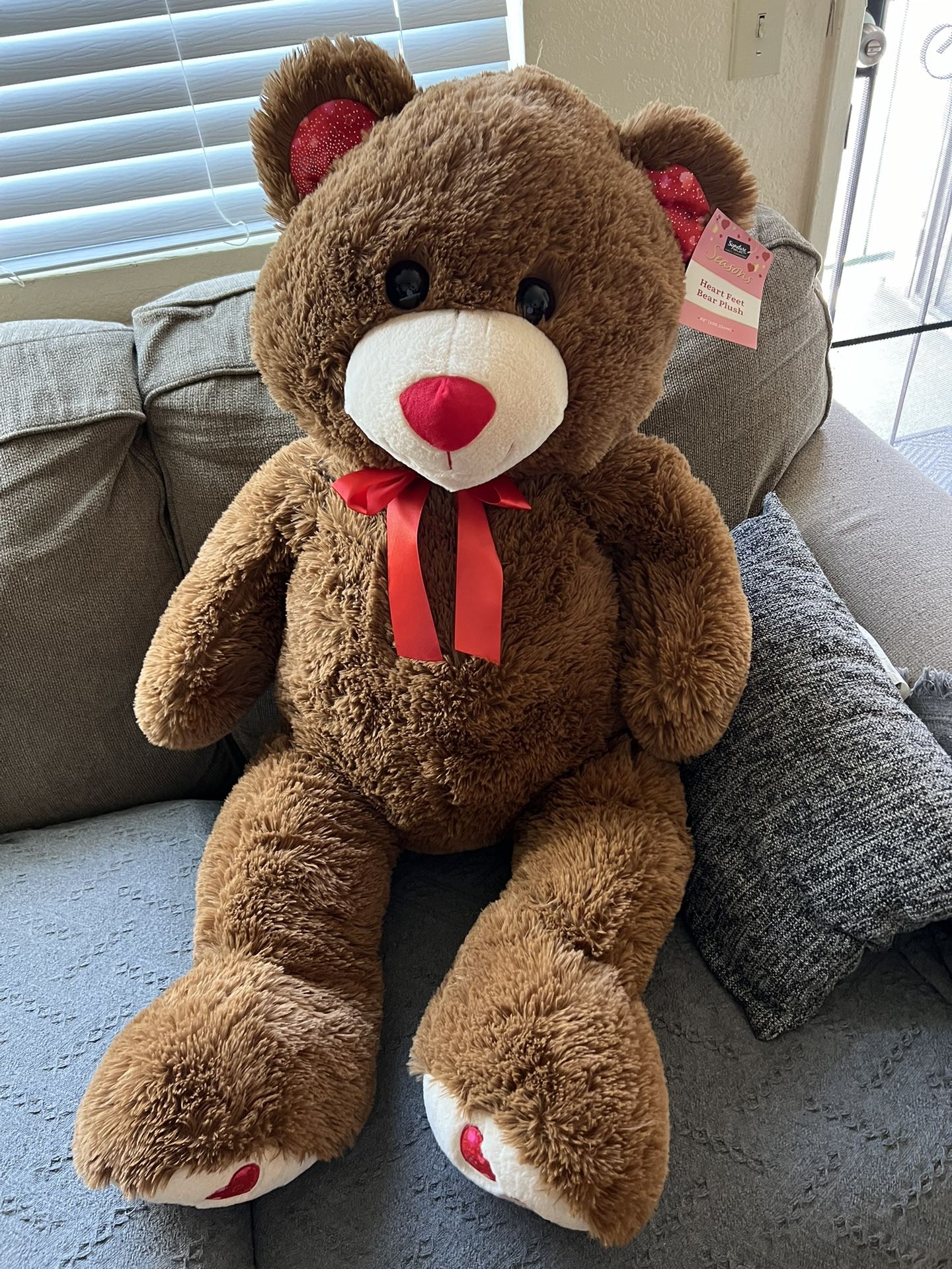 Brand New Teddy Bear 
