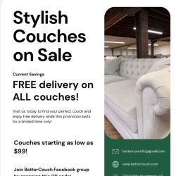 Free Delivery couch sectional sofa
