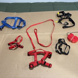 Lot of 2 Small Dog And Cat Leashes with 5 Front Body Harnesses /READ DESCRIPTION