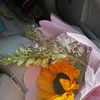 Sweety