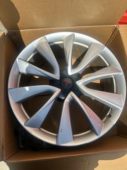 Tesla rim with or without tire
