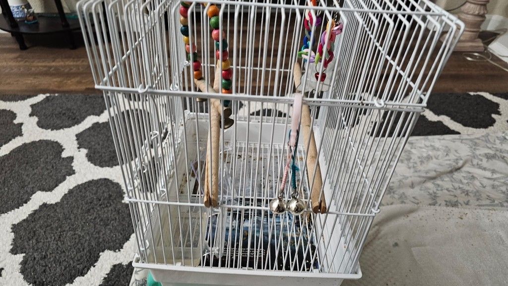 Bird Cage