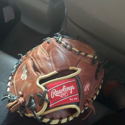 Catchers Glove