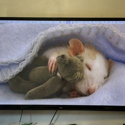 60 Inch 3D Smart Tv W/ 3D Glasses, Remote, HDMI & Mount
