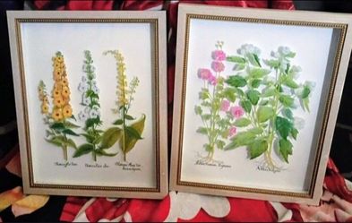 Framed Botanical Floral Prints Set of 2