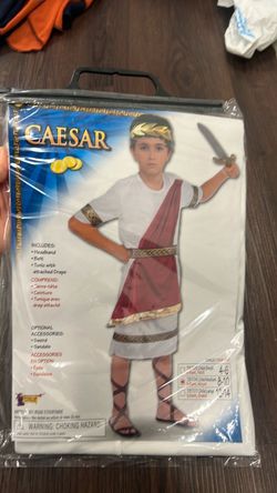 Boys Caesar costume
