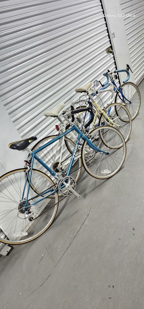 3 Terry's Road Bikes..