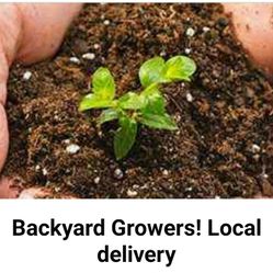 All In One Premium Soil/local Delivery