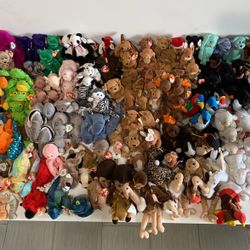 Beanie Babies Haul