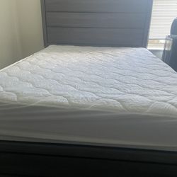 Queen Bed And Mattress For Sale
