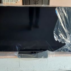 TV Vizio 48 Inch LED With Remote