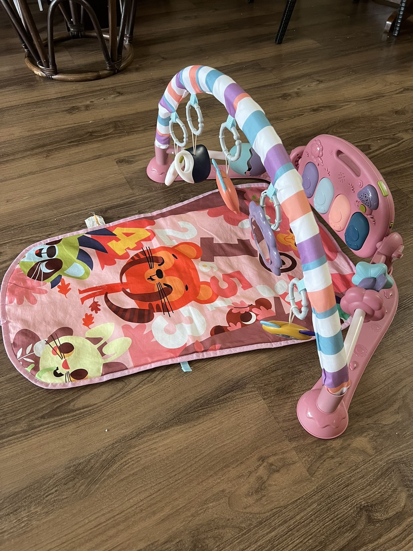 Baby Play Mat