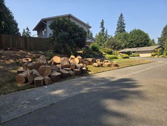 Free wood