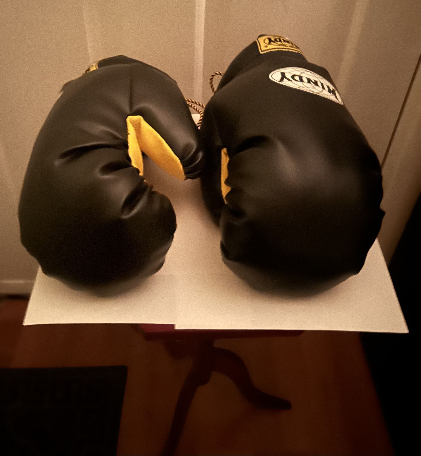 Black Windy 16 Oz. Large Muay Thai Training Gloves