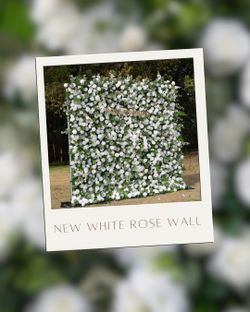 White Rose Flower Wall Backdrop