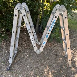 14 foot Werner Ladder