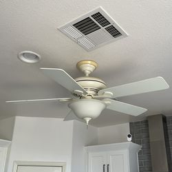 Hunter White Ceiling fan