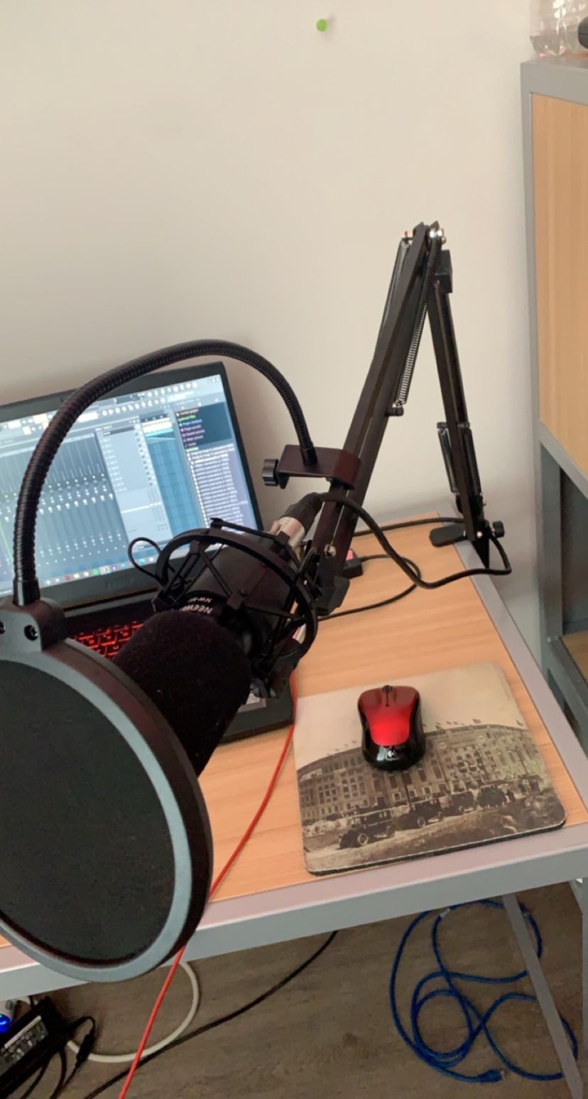 Neweer NW-800 Microphone