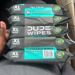 Dude Wipes XL X 5