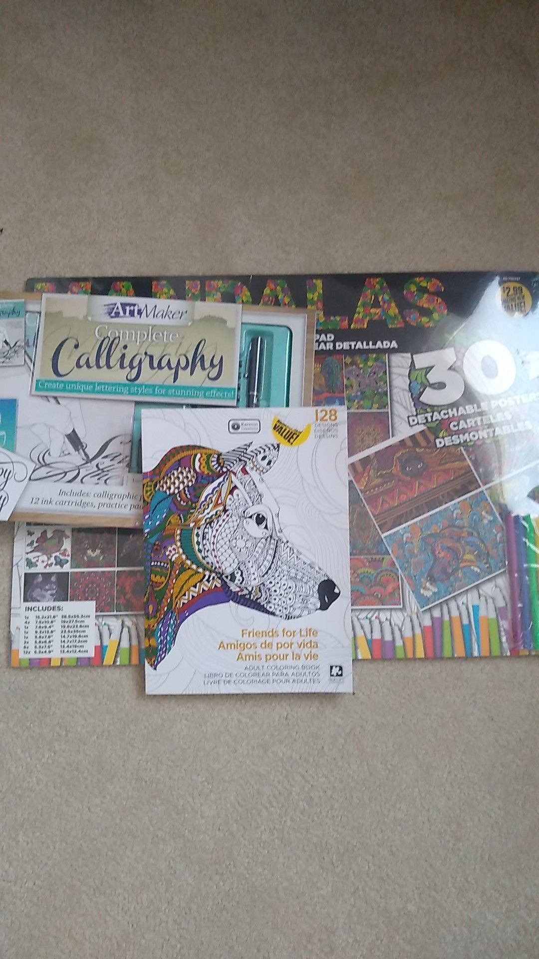 Coloring and drawing books/kit