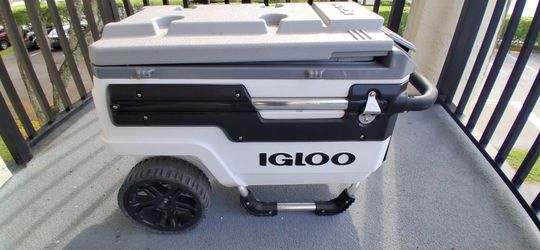Igloo Cooler