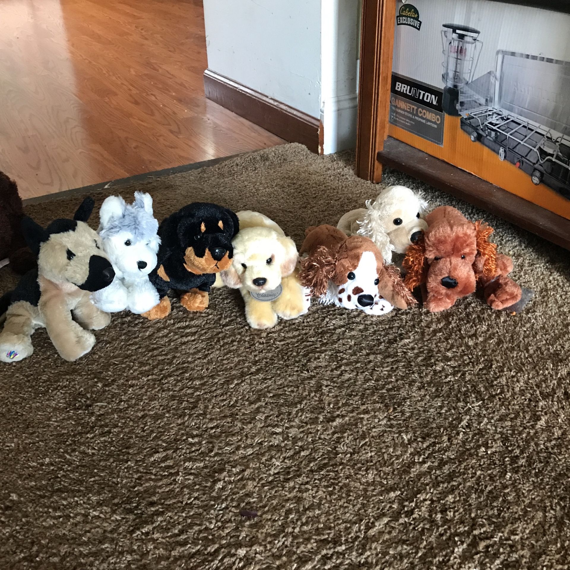stuff small dogs