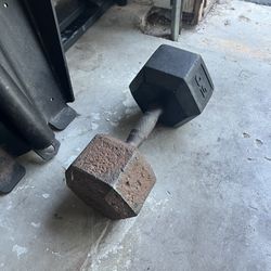 50lbs Dumbbell Rogue Fitness