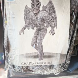 Costume Biy