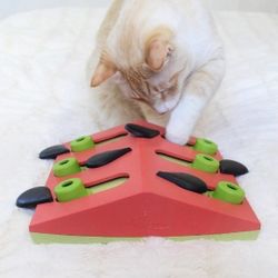 Catstages Melon Madness Puzzle & Play Interactive Cat Toy