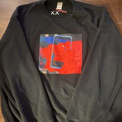 Kaws X Andy Warhol