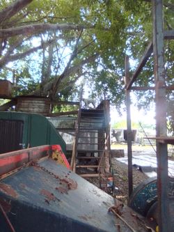 Moledor de árboles