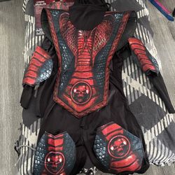Cobra Ninja