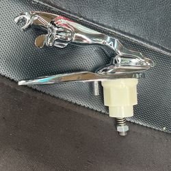 Jaguar Hood Orinamate Jaguar