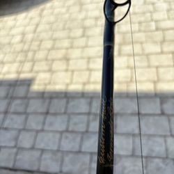 Custom Built 30-50 Trolling Roller Rod