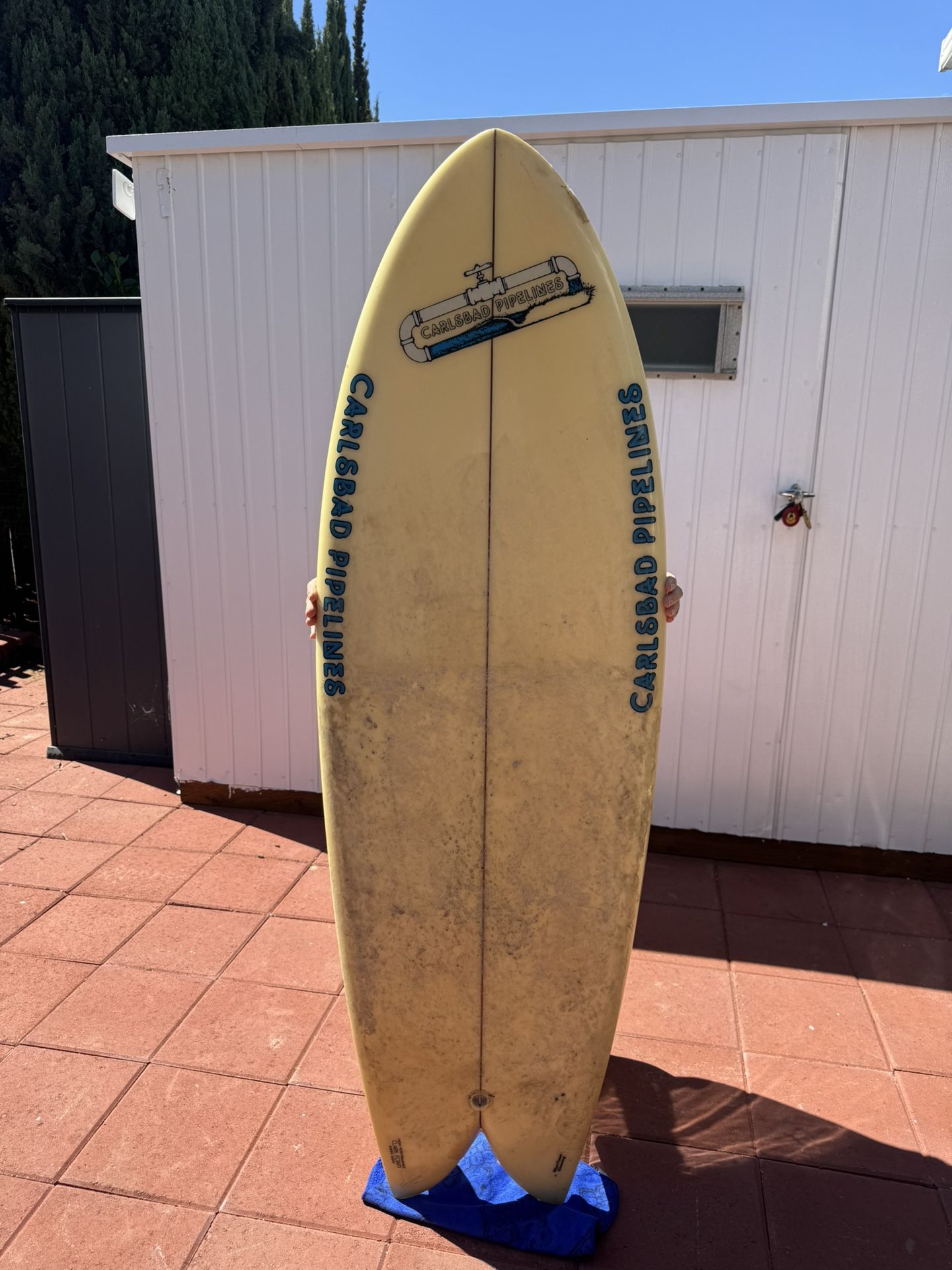 Carlsbad Pipelines Fish 