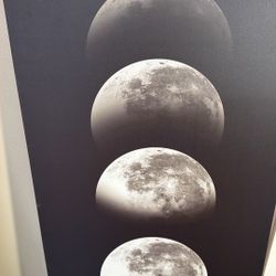 Moon “Canvas Like” Paint 